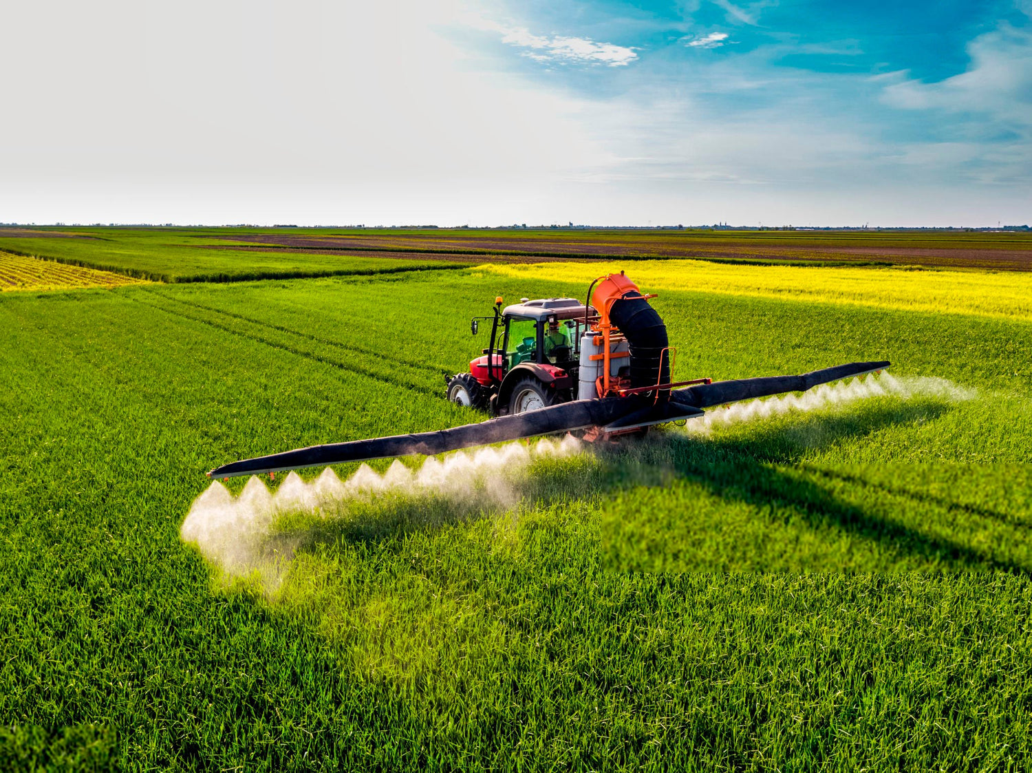 INSECTICIDAS