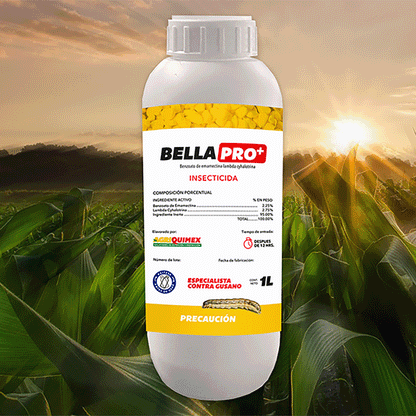 Bella PRO+ Insecticida 1L.